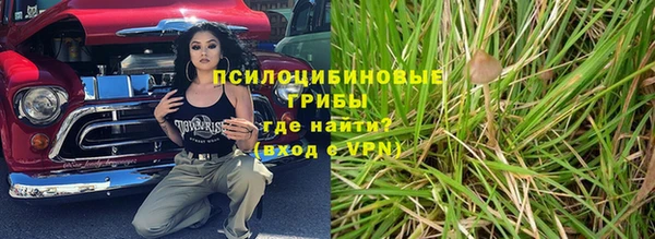 прущие крисы Гусев