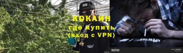 прущие крисы Гусев